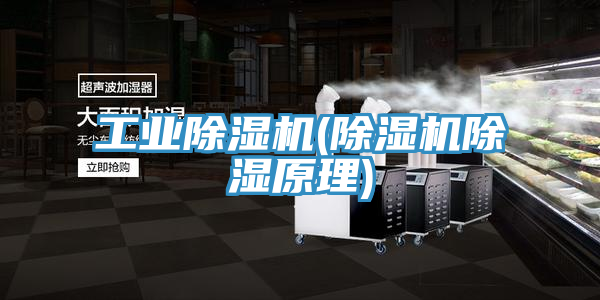 工業PICACG哔咔官网入口(PICACG哔咔官网入口除濕原理)