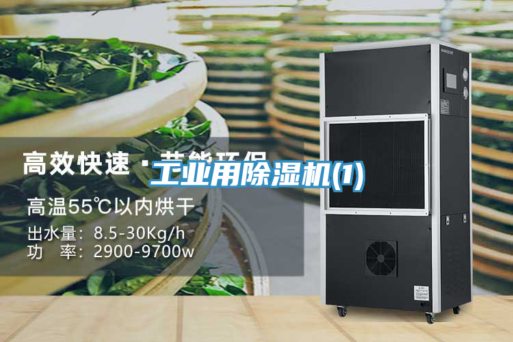 工業用PICACG哔咔官网入口(1)