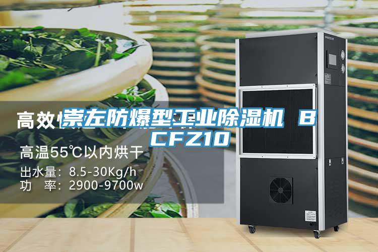 崇左防爆型工業PICACG哔咔官网入口 BCFZ10