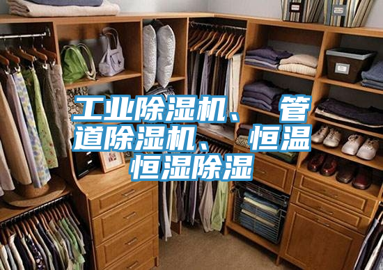 工業PICACG哔咔官网入口、 管道PICACG哔咔官网入口、 恒溫恒濕除濕