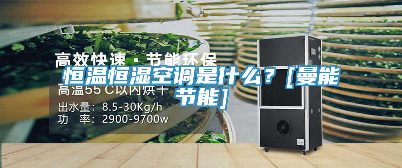 恒溫恒濕空調是什麽？[曼能節能]