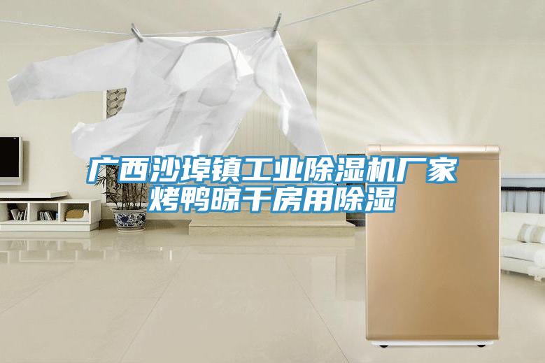 廣西沙埠鎮工業PICACG哔咔官网入口廠家烤鴨晾幹房用除濕