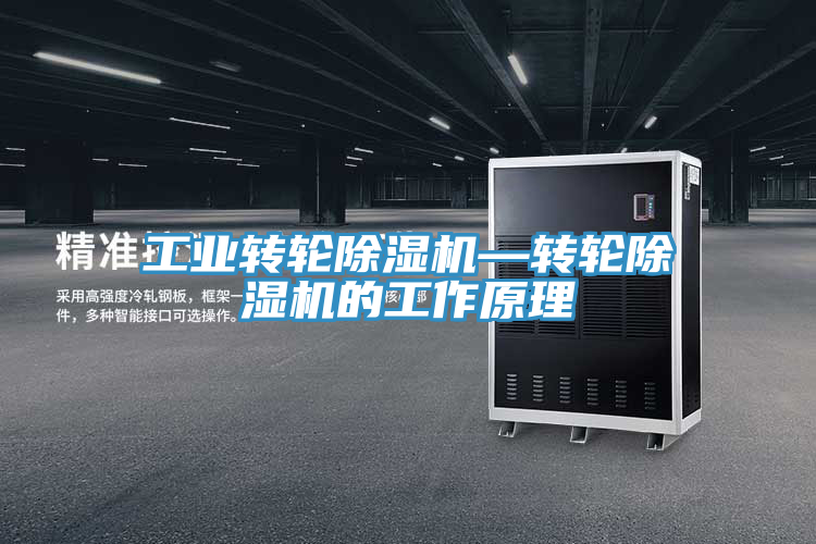 工業轉輪PICACG哔咔官网入口—轉輪PICACG哔咔官网入口的工作原理