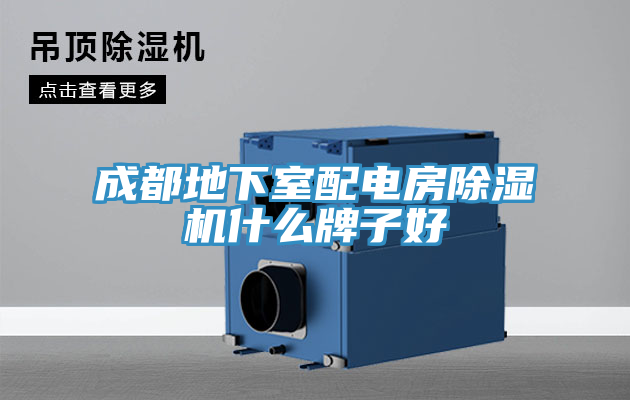 成都地下室配電房PICACG哔咔官网入口什麽牌子好