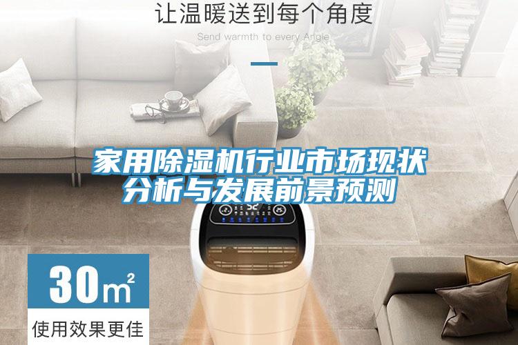 家用PICACG哔咔官网入口行業市場現狀分析與發展前景預測