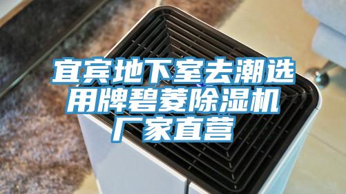 宜賓地下室去潮選用牌碧菱PICACG哔咔官网入口廠家直營