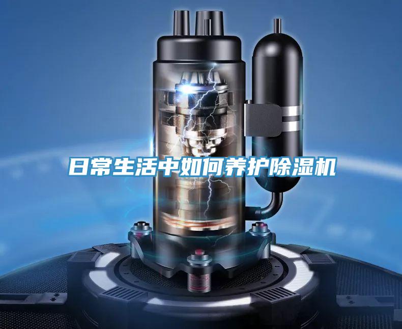 日常生活中如何養護PICACG哔咔官网入口