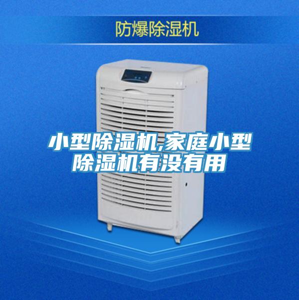 小型PICACG哔咔官网入口,家庭小型PICACG哔咔官网入口有沒有用