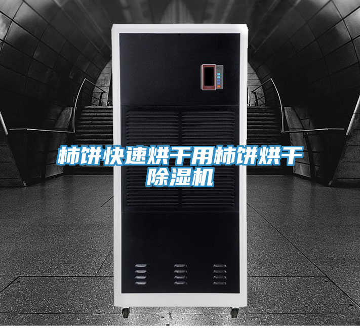 柿餅快速烘幹用柿餅烘幹PICACG哔咔官网入口