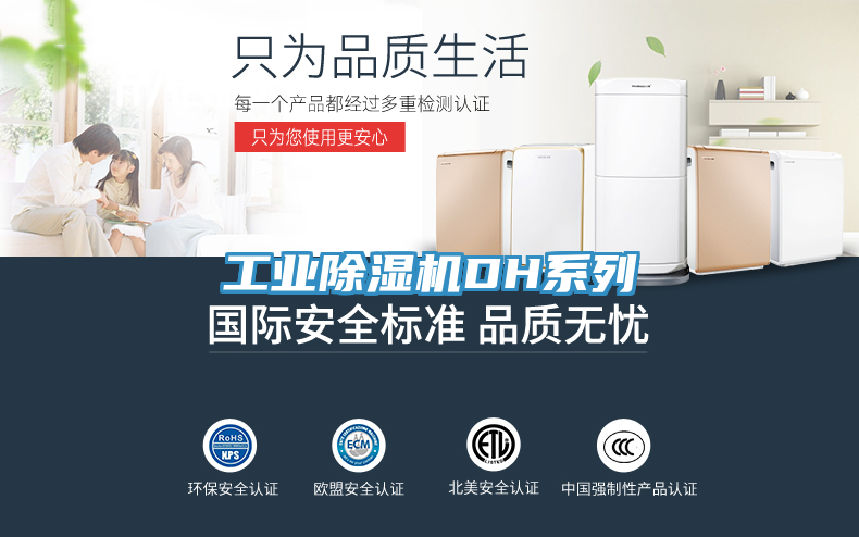 工業PICACG哔咔官网入口DH係列