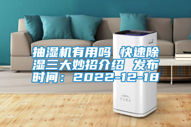 抽濕機有用嗎 快速除濕三大妙招介紹 發布時間：2022-12-18
