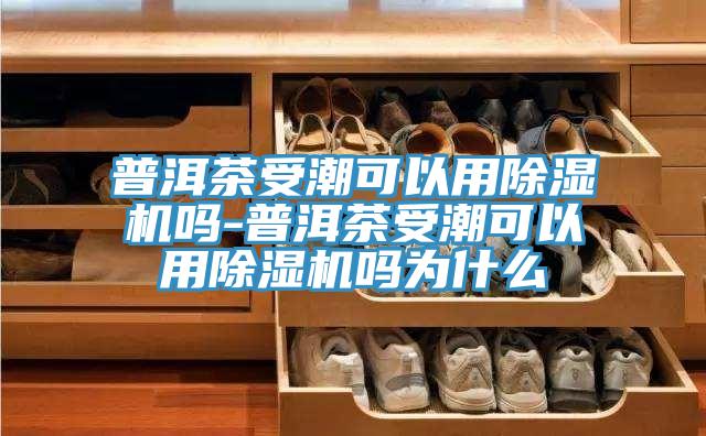 普洱茶受潮可以用PICACG哔咔官网入口嗎-普洱茶受潮可以用PICACG哔咔官网入口嗎為什麽
