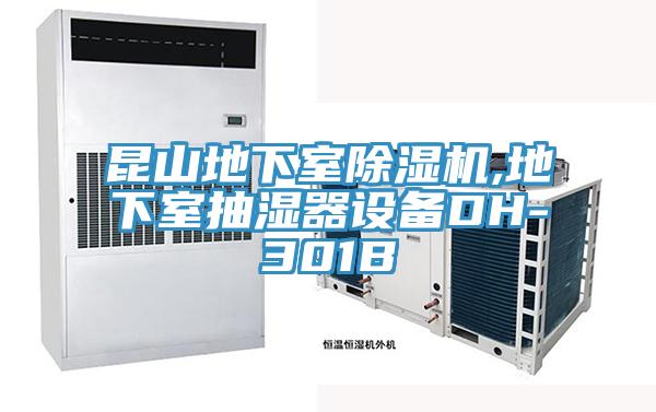 昆山地下室PICACG哔咔官网入口,地下室抽濕器設備DH-301B