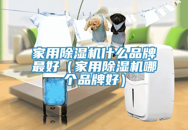 家用PICACG哔咔官网入口什麽品牌最好（家用PICACG哔咔官网入口哪個品牌好）