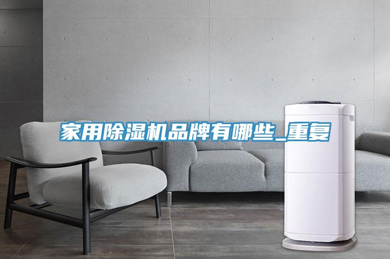 家用PICACG哔咔官网入口品牌有哪些_重複