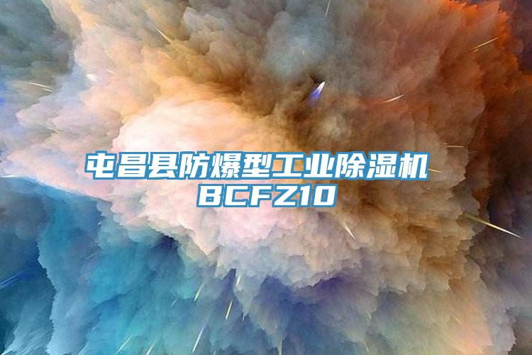 屯昌縣防爆型工業PICACG哔咔官网入口 BCFZ10