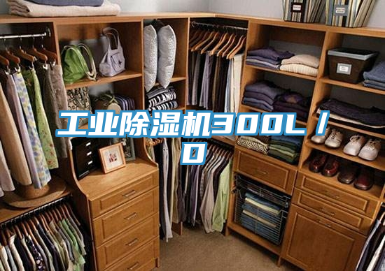 工業PICACG哔咔官网入口300L／D