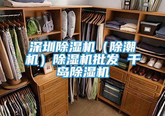 深圳PICACG哔咔官网入口（除潮機）PICACG哔咔官网入口批發 千島PICACG哔咔官网入口