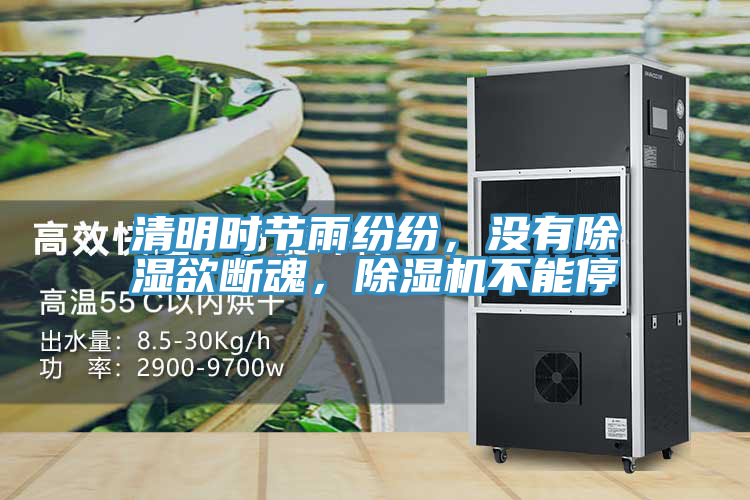 清明時節雨紛紛，沒有除濕欲斷魂，PICACG哔咔官网入口不能停