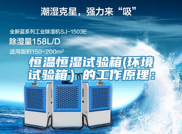 恒溫恒濕試驗箱(環境試驗箱）的工作原理：