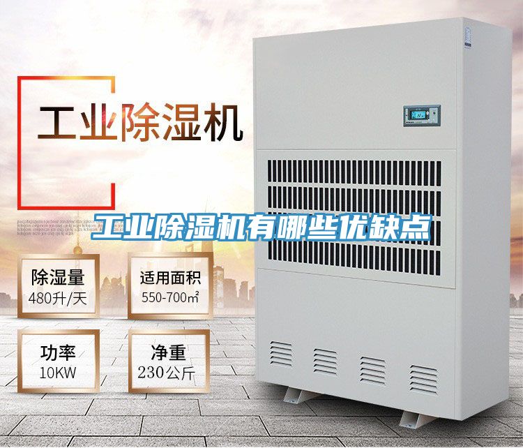 工業PICACG哔咔官网入口有哪些優缺點