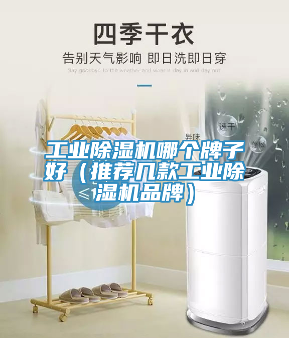 工業PICACG哔咔官网入口哪個牌子好（推薦幾款工業PICACG哔咔官网入口品牌）