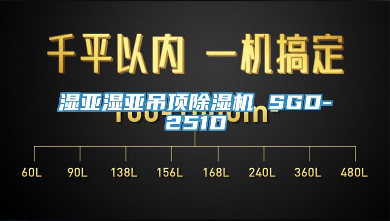 濕亞濕亞吊頂PICACG哔咔官网入口 SGD-251D