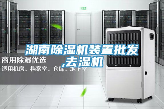 湖南PICACG哔咔官网入口裝置批發,去濕機