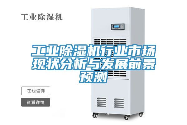 工業PICACG哔咔官网入口行業市場現狀分析與發展前景預測