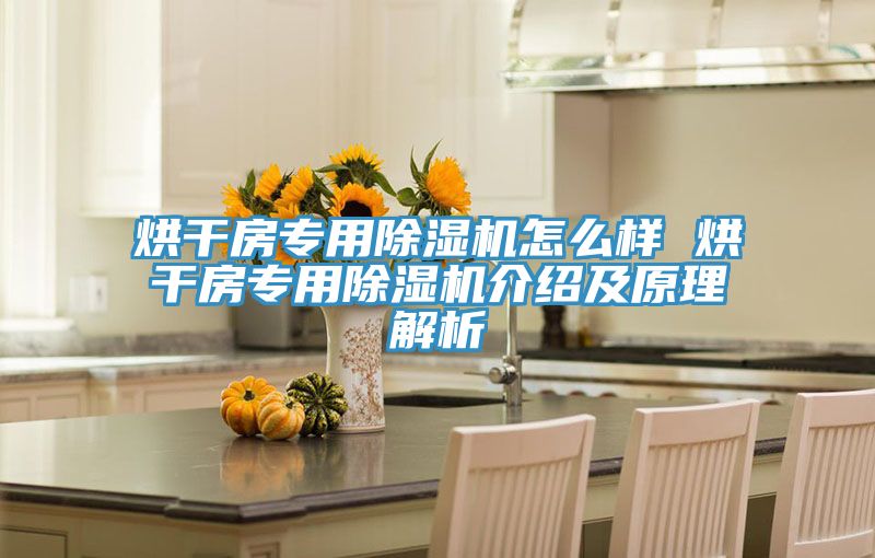 烘幹房專用PICACG哔咔官网入口怎麽樣 烘幹房專用PICACG哔咔官网入口介紹及原理解析