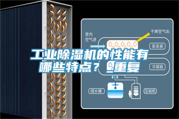 工業PICACG哔咔官网入口的性能有哪些特點？_重複