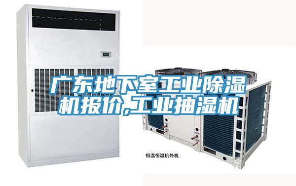 廣東地下室工業PICACG哔咔官网入口報價,工業抽濕機