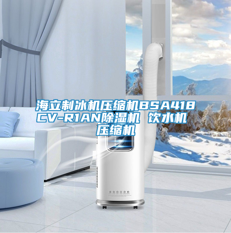 海立製冰機壓縮機BSA418CV-R1ANPICACG哔咔官网入口 飲水機 壓縮機