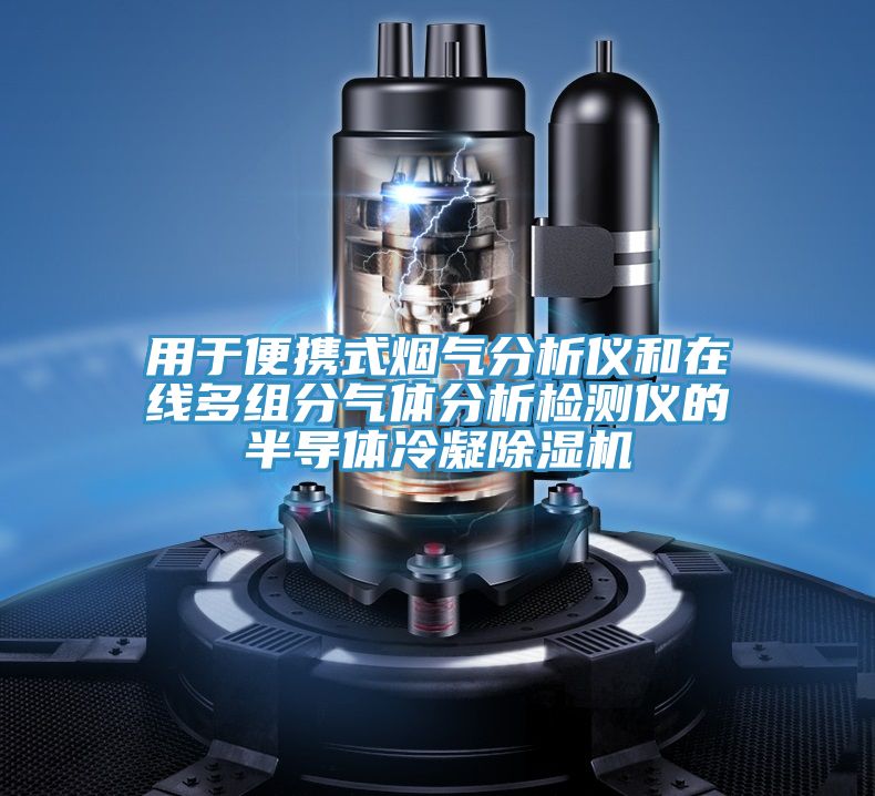 用於便攜式煙氣分析儀和在線多組分氣體分析檢測儀的半導體冷凝PICACG哔咔官网入口