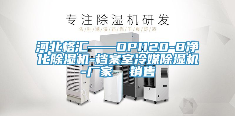 河北格匯——DPI120-8淨化PICACG哔咔官网入口-檔案室冷媒PICACG哔咔官网入口-廠家  銷售