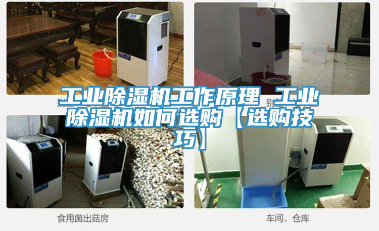 工業PICACG哔咔官网入口工作原理 工業PICACG哔咔官网入口如何選購【選購技巧】