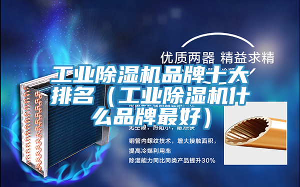 工業PICACG哔咔官网入口品牌十大排名（工業PICACG哔咔官网入口什麽品牌最好）