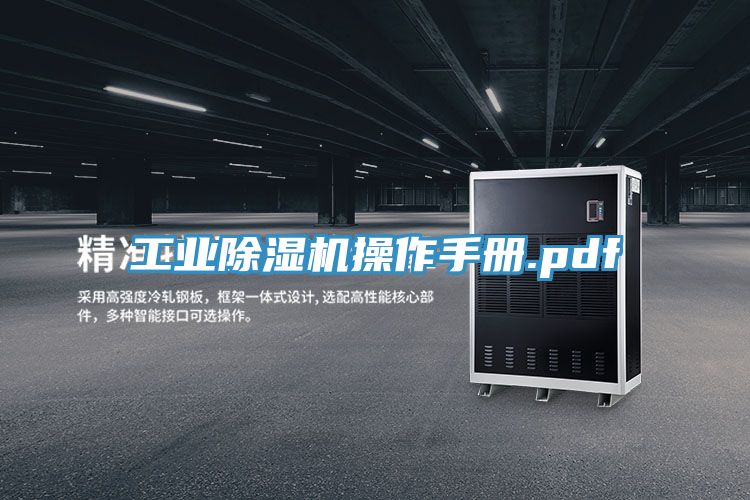 工業PICACG哔咔官网入口操作手冊.pdf