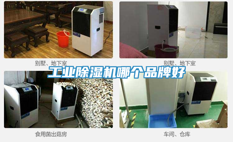 工業PICACG哔咔官网入口哪個品牌好