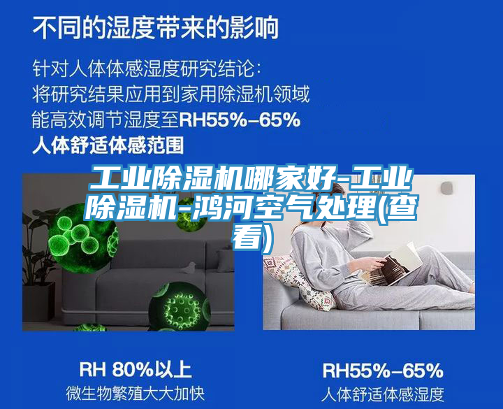 工業PICACG哔咔官网入口哪家好-工業PICACG哔咔官网入口-鴻河空氣處理(查看)