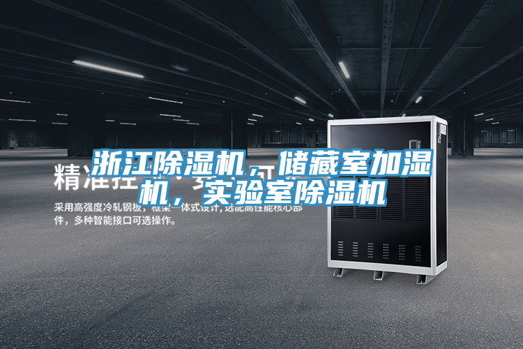 浙江PICACG哔咔官网入口，儲藏室加濕機，實驗室PICACG哔咔官网入口