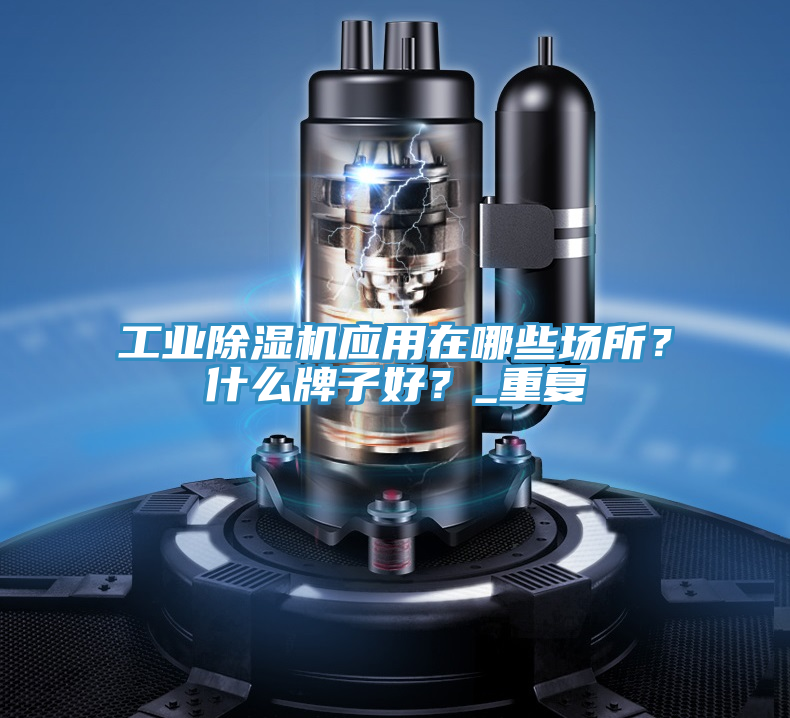 工業PICACG哔咔官网入口應用在哪些場所？什麽牌子好？_重複