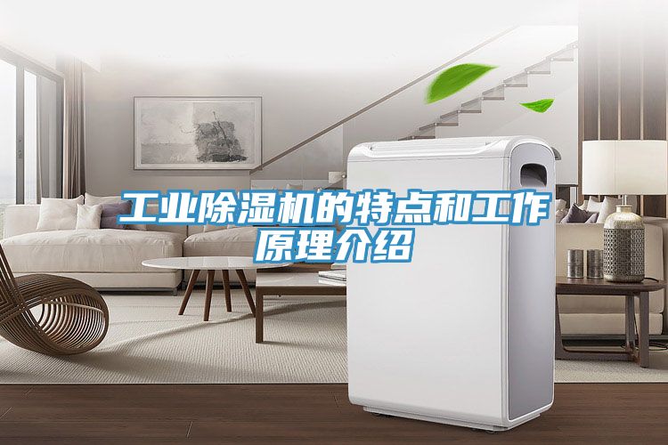 工業PICACG哔咔官网入口的特點和工作原理介紹