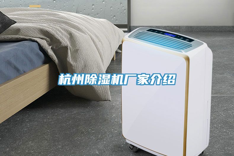 杭州PICACG哔咔官网入口廠家介紹