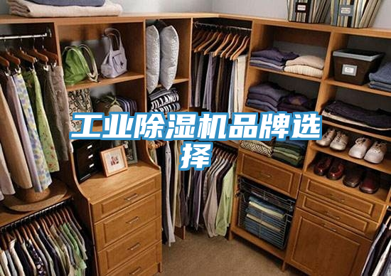 工業PICACG哔咔官网入口品牌選擇