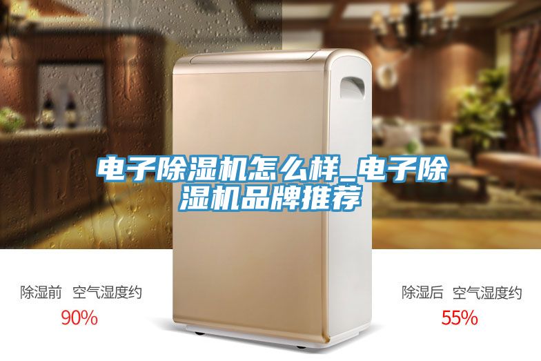 電子PICACG哔咔官网入口怎麽樣_電子PICACG哔咔官网入口品牌推薦