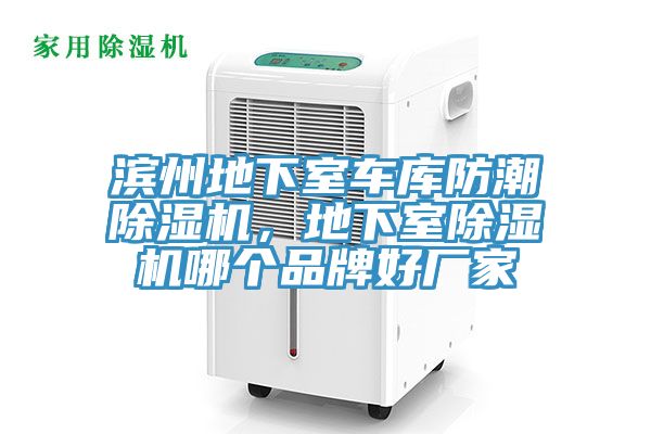 濱州地下室車庫防潮PICACG哔咔官网入口，地下室PICACG哔咔官网入口哪個品牌好廠家