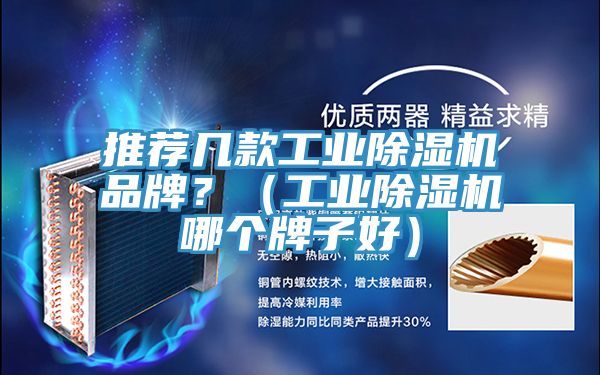 推薦幾款工業PICACG哔咔官网入口品牌？（工業PICACG哔咔官网入口哪個牌子好）