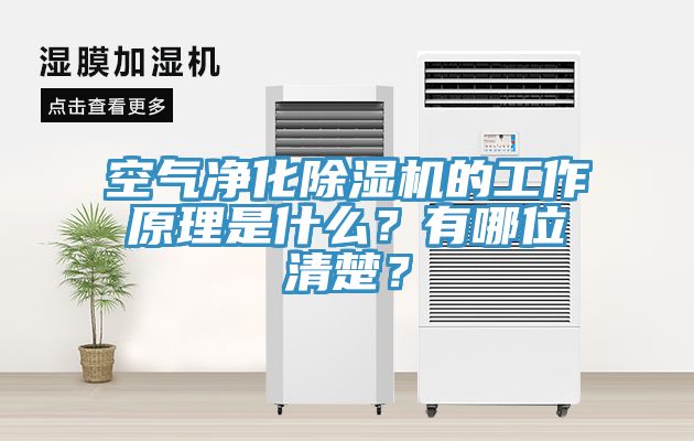 空氣淨化PICACG哔咔官网入口的工作原理是什麽？有哪位清楚？
