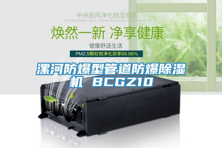 漯河防爆型管道防爆PICACG哔咔官网入口 BCGZ10